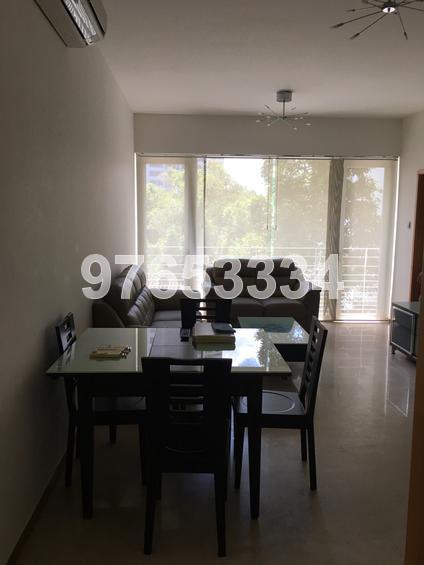 The Levelz (D10), Condominium #146184002
